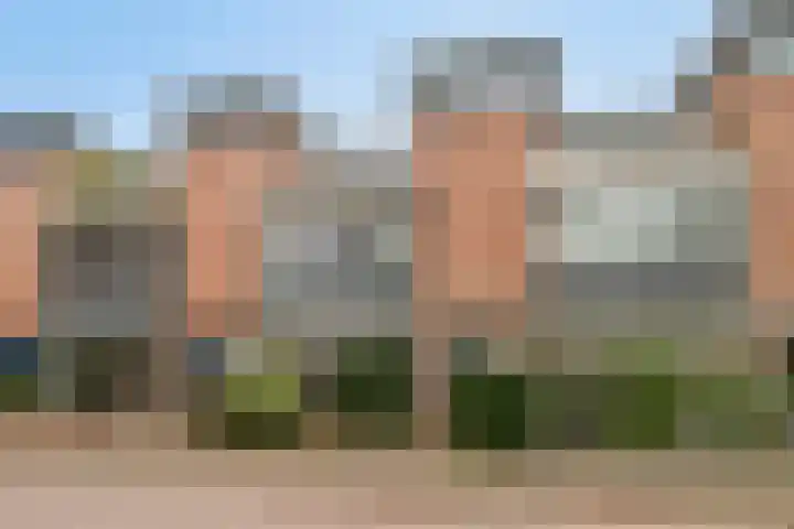 Duizendguldenkruid 55 Amersfoort thumbnail 31