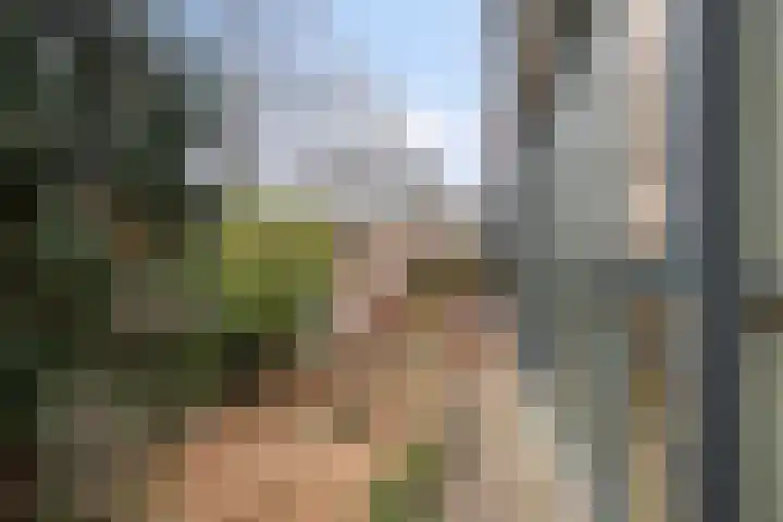 Duizendguldenkruid 55 Amersfoort thumbnail 32