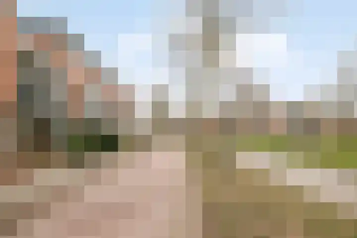 Duizendguldenkruid 55 Amersfoort thumbnail 33