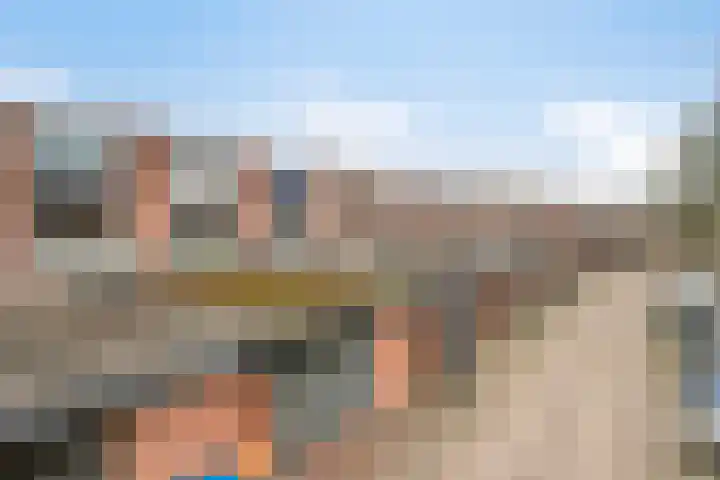 Duizendguldenkruid 55 Amersfoort thumbnail 34