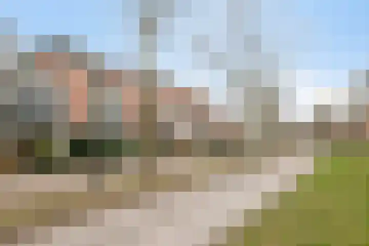 Duizendguldenkruid 55 Amersfoort thumbnail 35