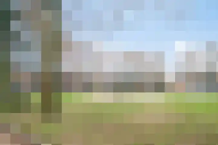 Duizendguldenkruid 55 Amersfoort thumbnail 36