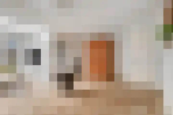 Duizendguldenkruid 55 Amersfoort thumbnail 4