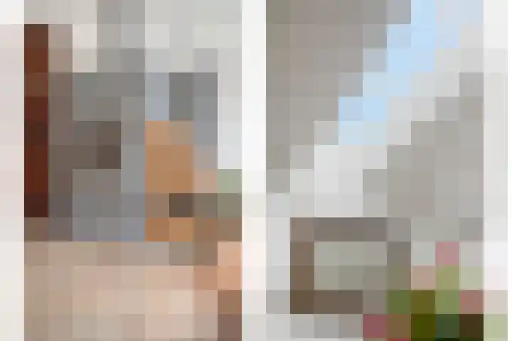 Duizendguldenkruid 55 Amersfoort thumbnail 5