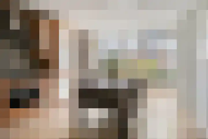 Duizendguldenkruid 55 Amersfoort thumbnail 7