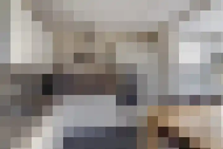 Duizendknoop 3 Zeewolde thumbnail 21