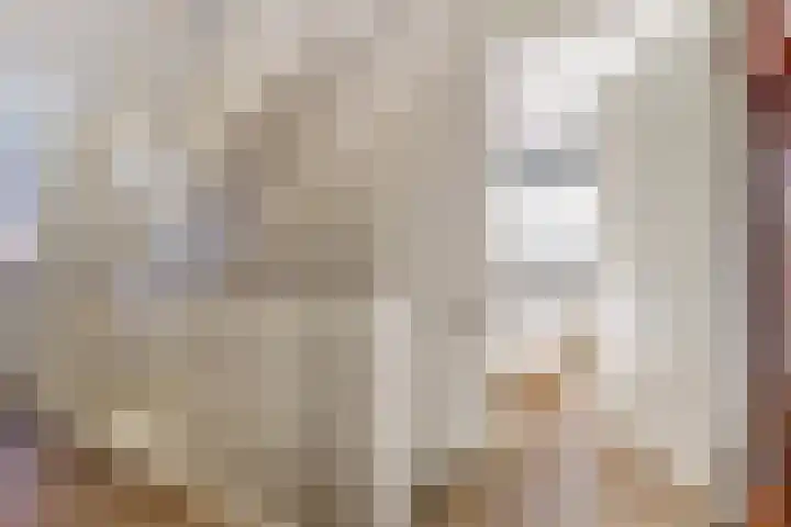 Duizendknoop 3 Zeewolde thumbnail 25