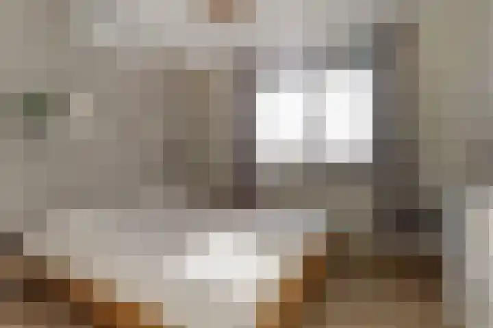 Duizendknoop 3 Zeewolde thumbnail 26