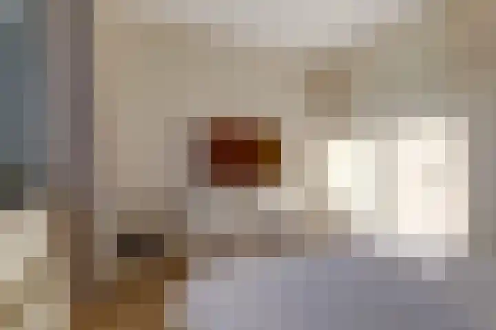 Duizendknoop 3 Zeewolde thumbnail 27