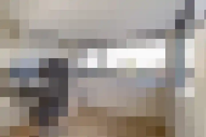Duizendknoop 3 Zeewolde thumbnail 37