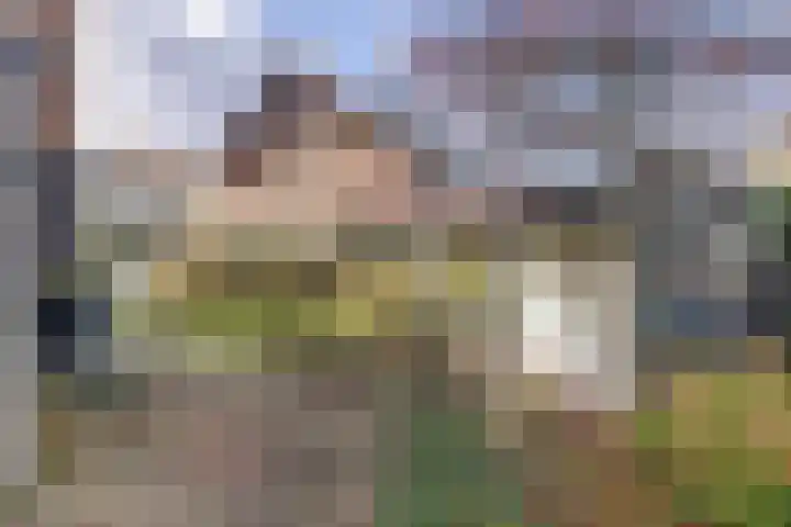 Duizendknoop 3 Zeewolde thumbnail 43