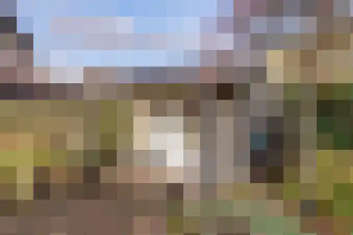 Duizendknoop 3 Zeewolde thumbnail 44