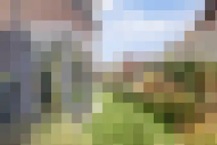 Duizendknoop 3 Zeewolde thumbnail 46