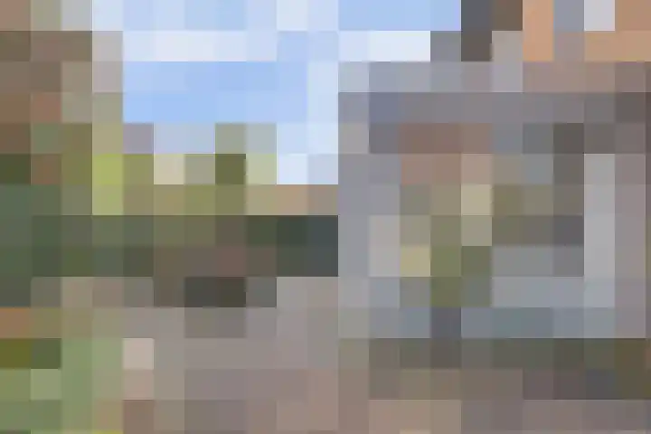 Duizendknoop 3 Zeewolde thumbnail 47