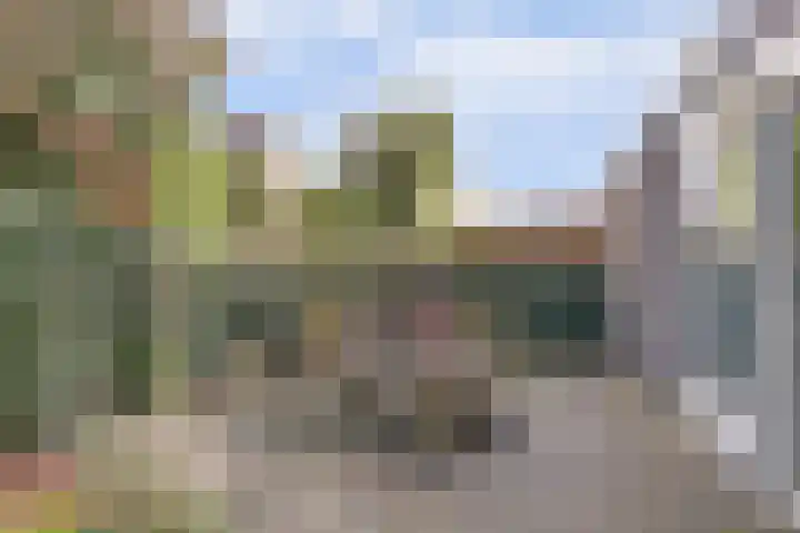 Duizendknoop 3 Zeewolde thumbnail 48