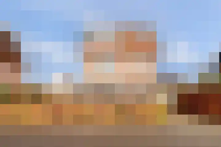 Duizendknoop 3 Zeewolde thumbnail 50