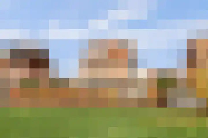 Duizendknoop 3 Zeewolde thumbnail 51