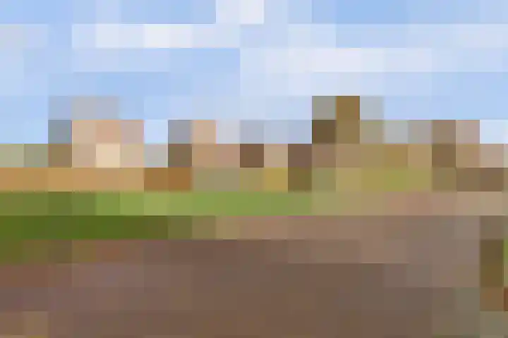 Duizendknoop 3 Zeewolde thumbnail 52