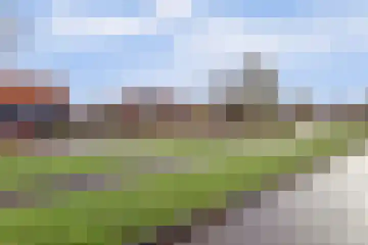 Duizendknoop 3 Zeewolde thumbnail 53