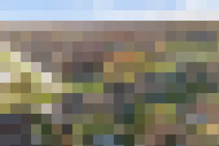 Duizendknoop 3 Zeewolde thumbnail 57