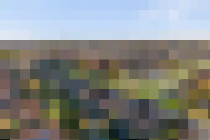 Duizendknoop 3 Zeewolde thumbnail 58