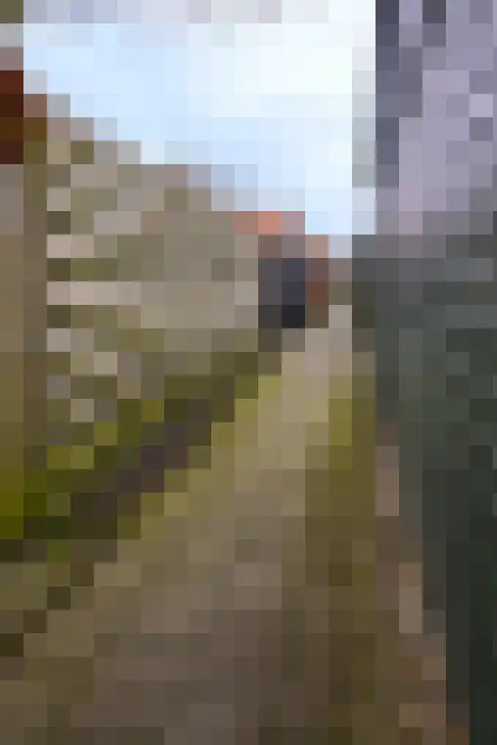 Duizendknoopstraat 18 Emmeloord thumbnail 11