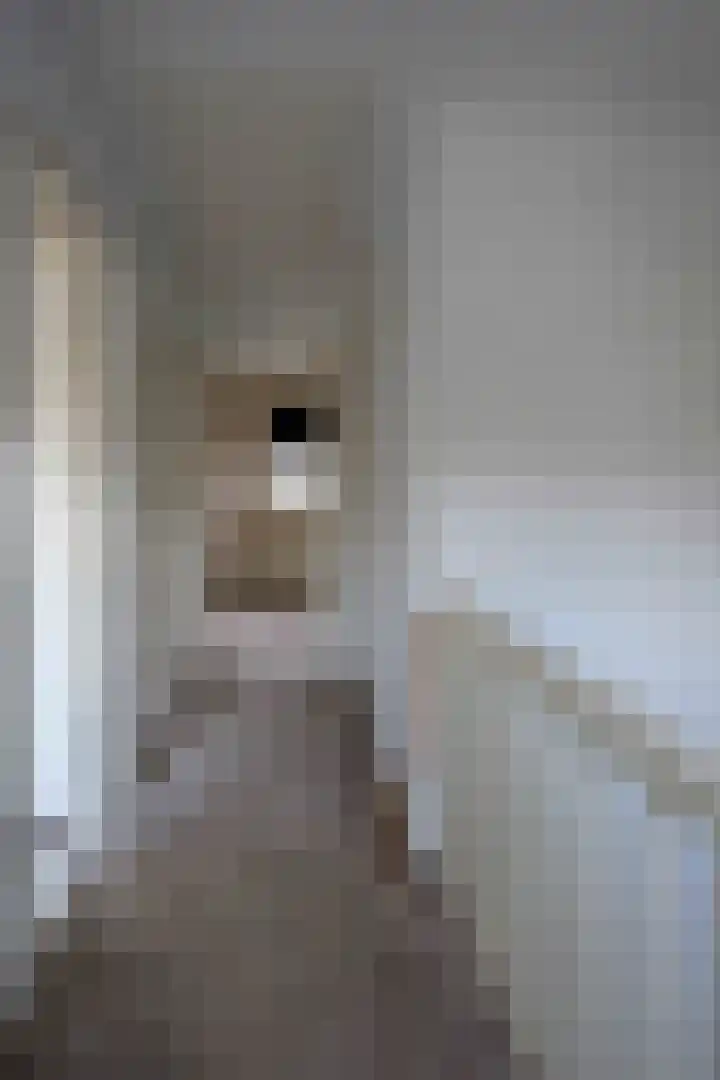 Duizendknoopstraat 18 Emmeloord thumbnail 16