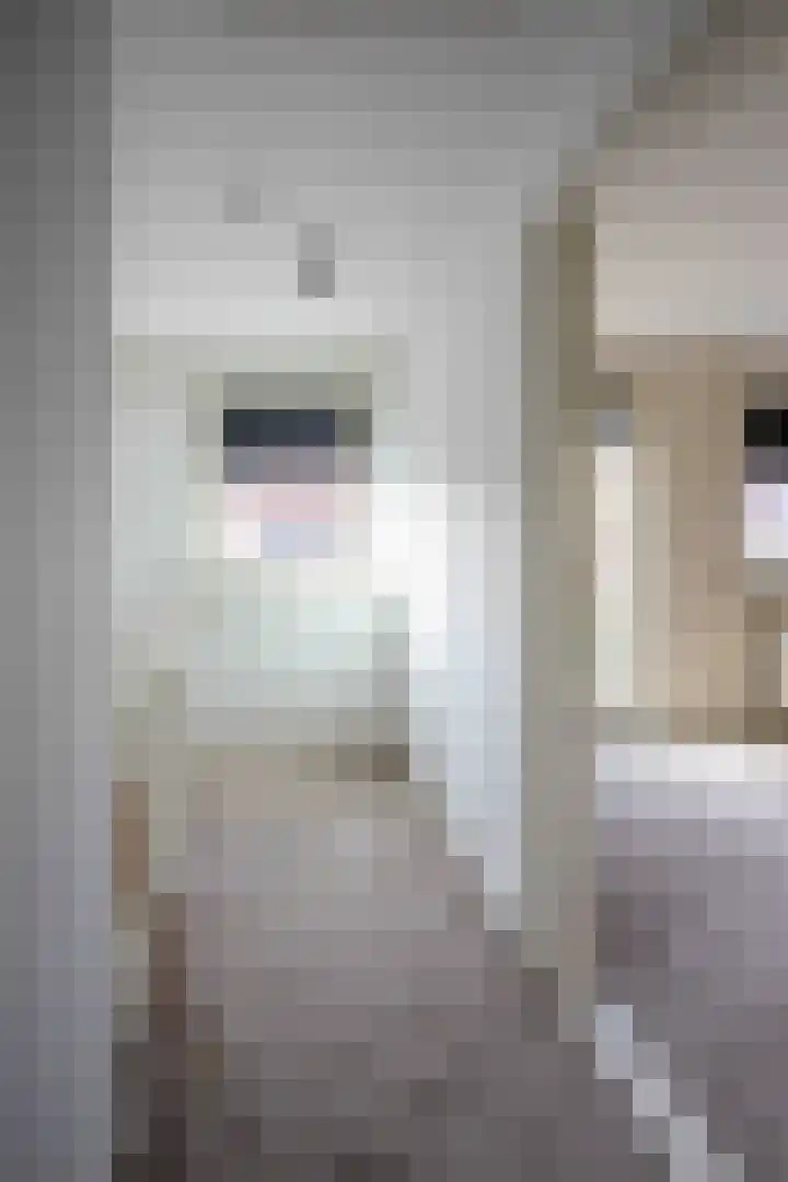 Duizendknoopstraat 18 Emmeloord thumbnail 22