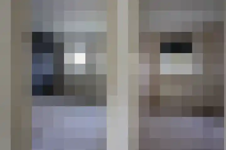 Duizendknoopstraat 18 Emmeloord thumbnail 24
