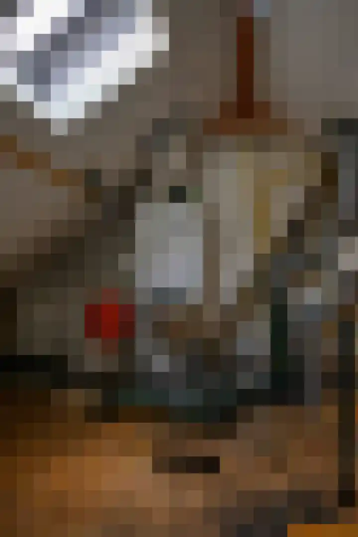 Duizendknoopstraat 18 Emmeloord thumbnail 32
