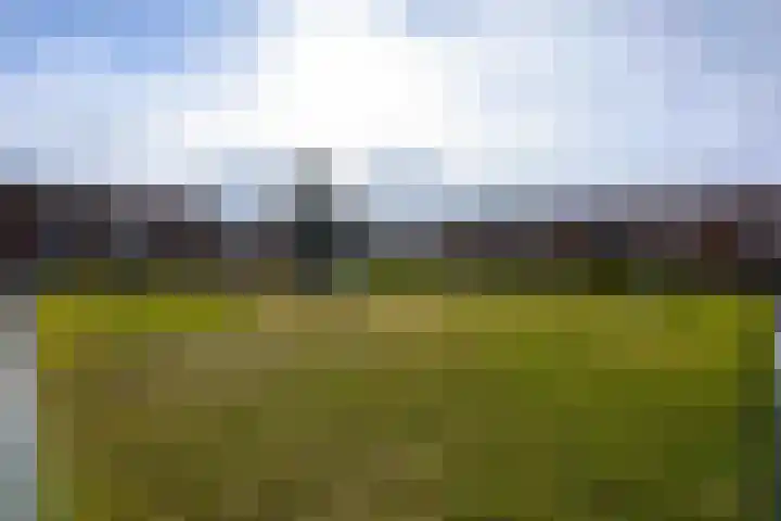 Duizendknoopstraat 18 Emmeloord thumbnail 36