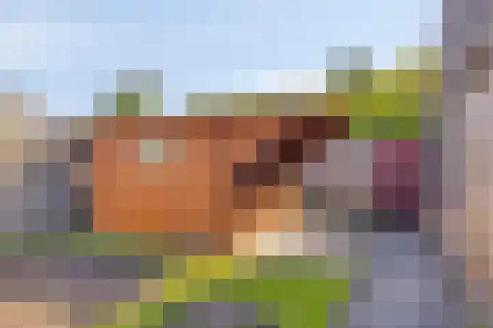 Duizendknoopstraat 60 Emmeloord thumbnail 28