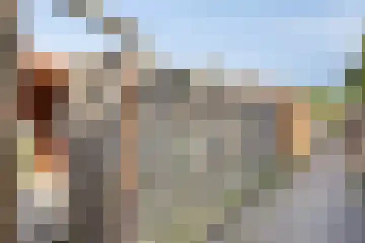 Duizendknoopstraat 60 Emmeloord thumbnail 31