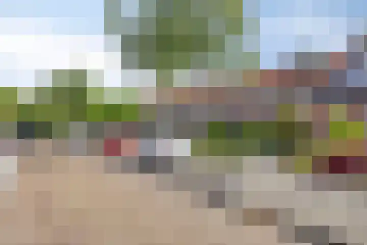 Duizendknoopstraat 60 Emmeloord thumbnail 32