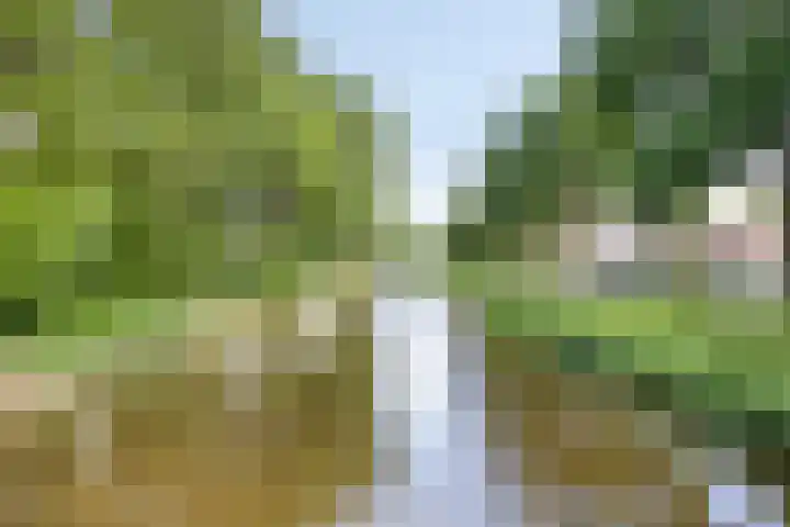 Duizendknoopstraat 60 Emmeloord thumbnail 33