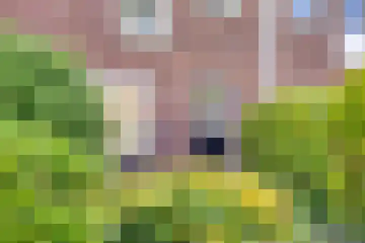 Duizendknoopstraat 60 Emmeloord thumbnail 5