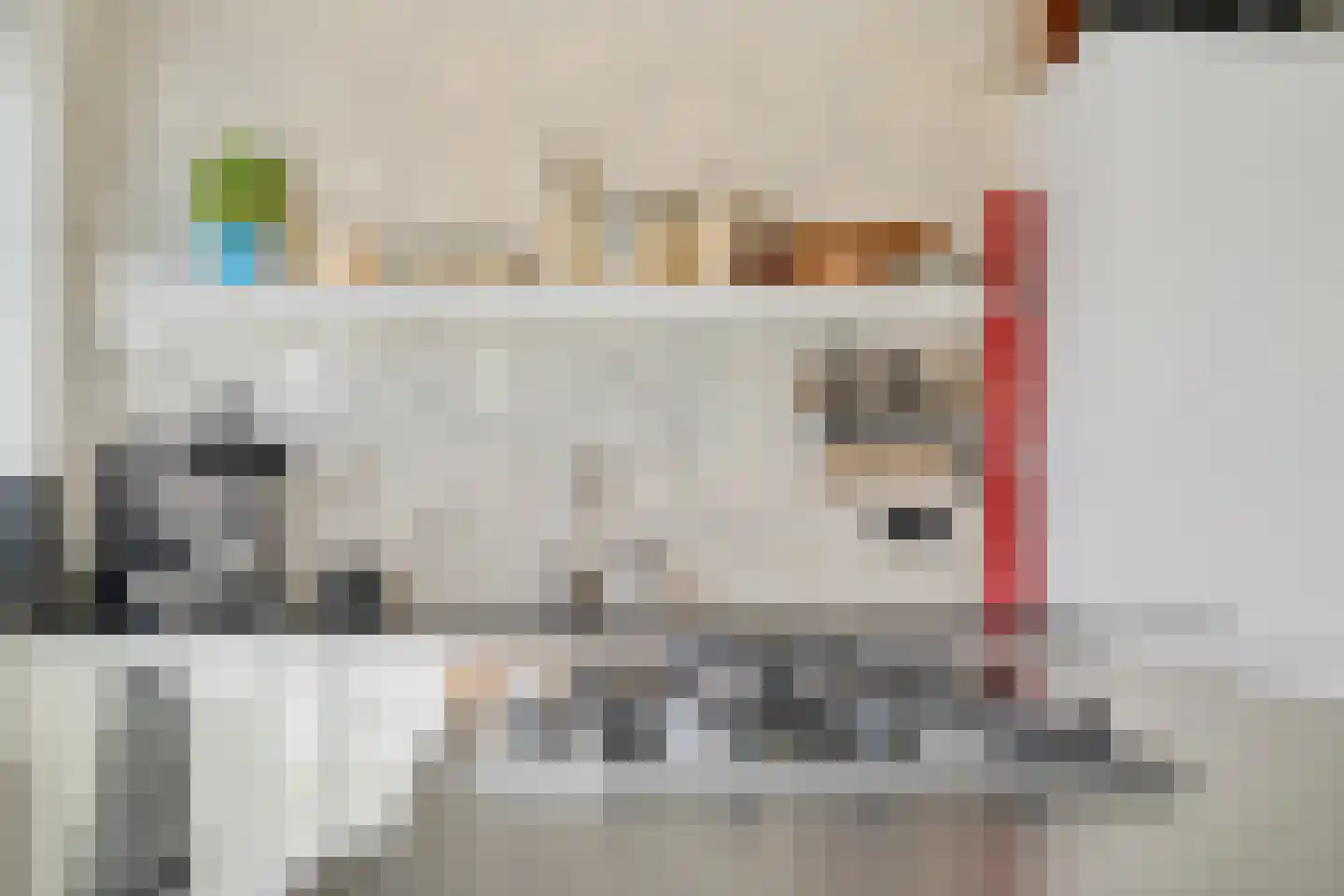 Duizendknoopstraat 82 Emmeloord thumbnail 22