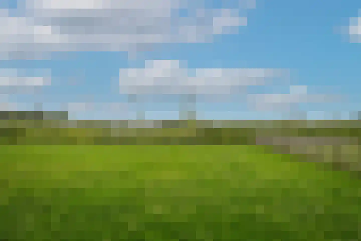 Duizendmorgen Andel thumbnail 10