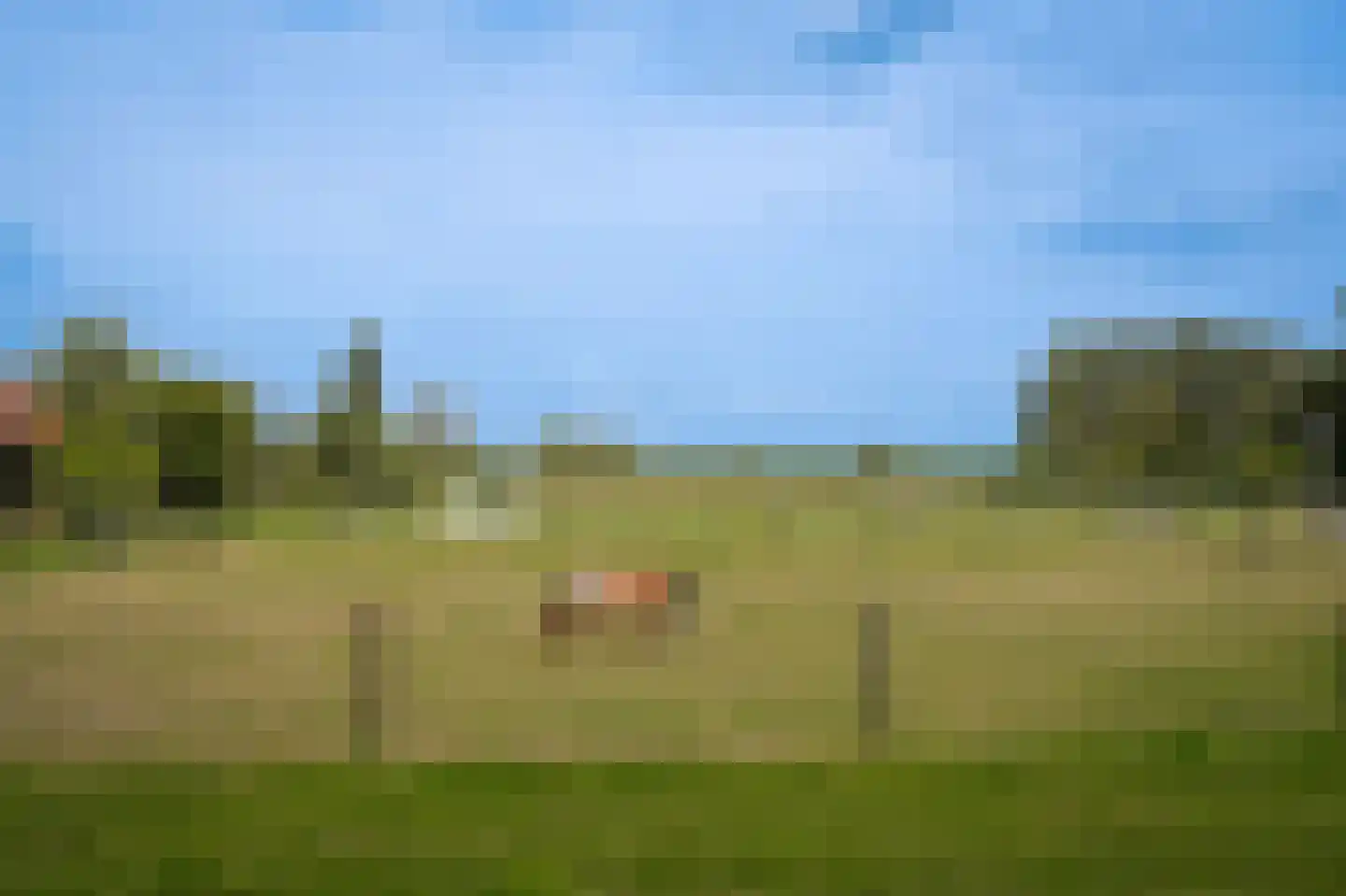 Duizendmorgen Andel thumbnail 12