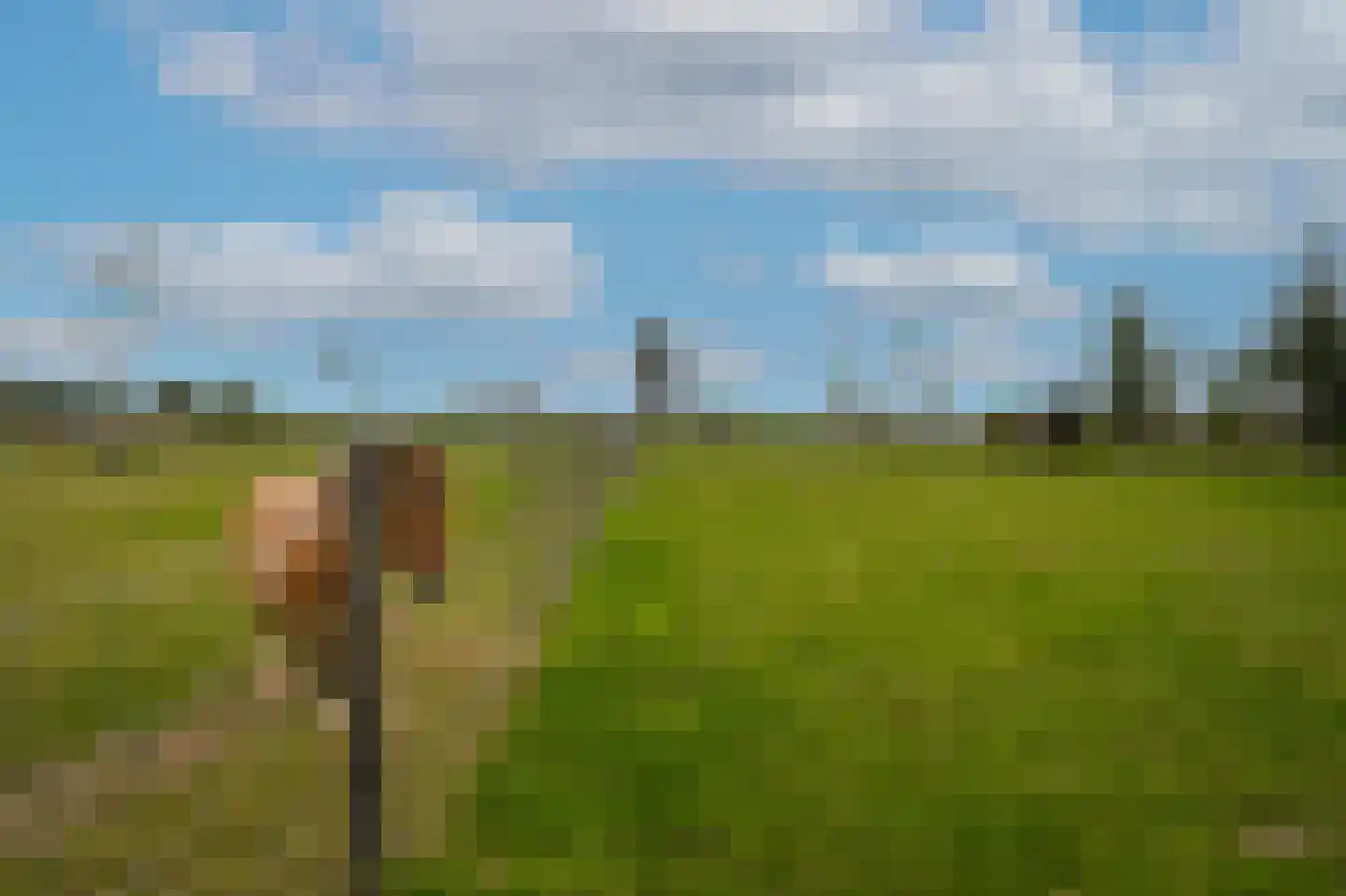 Duizendmorgen Andel thumbnail 13