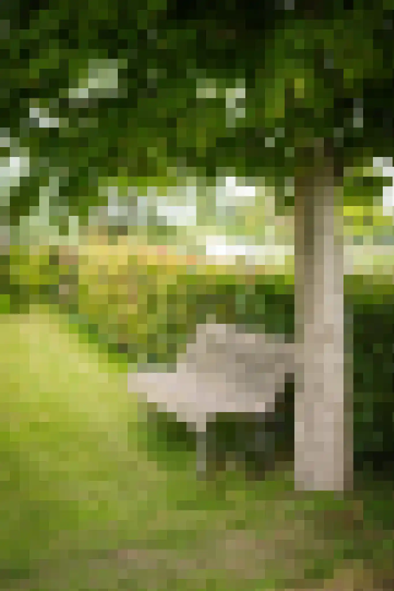 Duizendmorgen Andel thumbnail 14