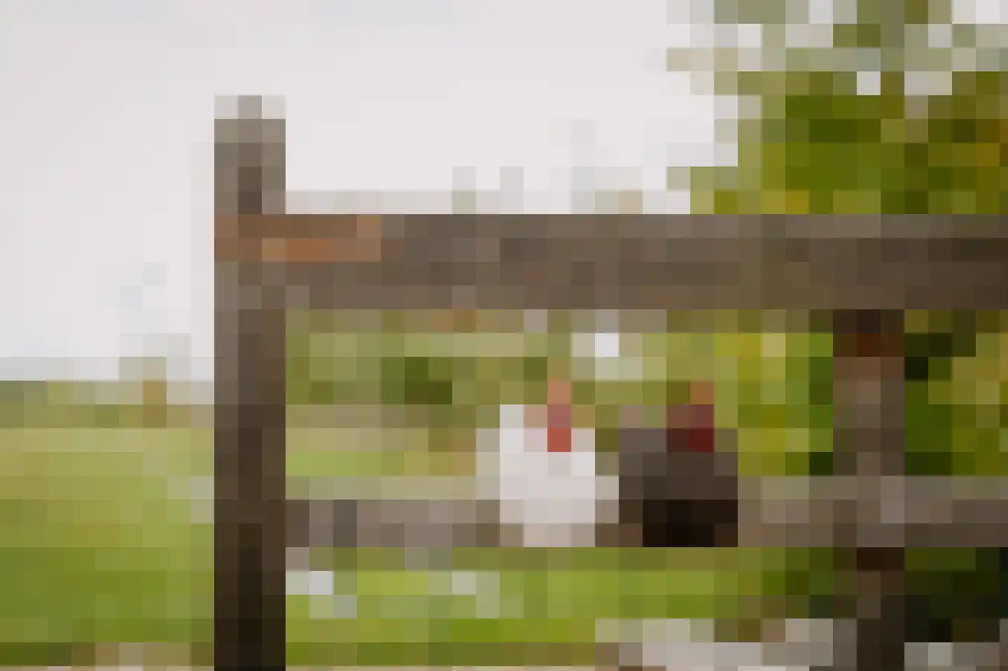 Duizendmorgen Andel thumbnail 15