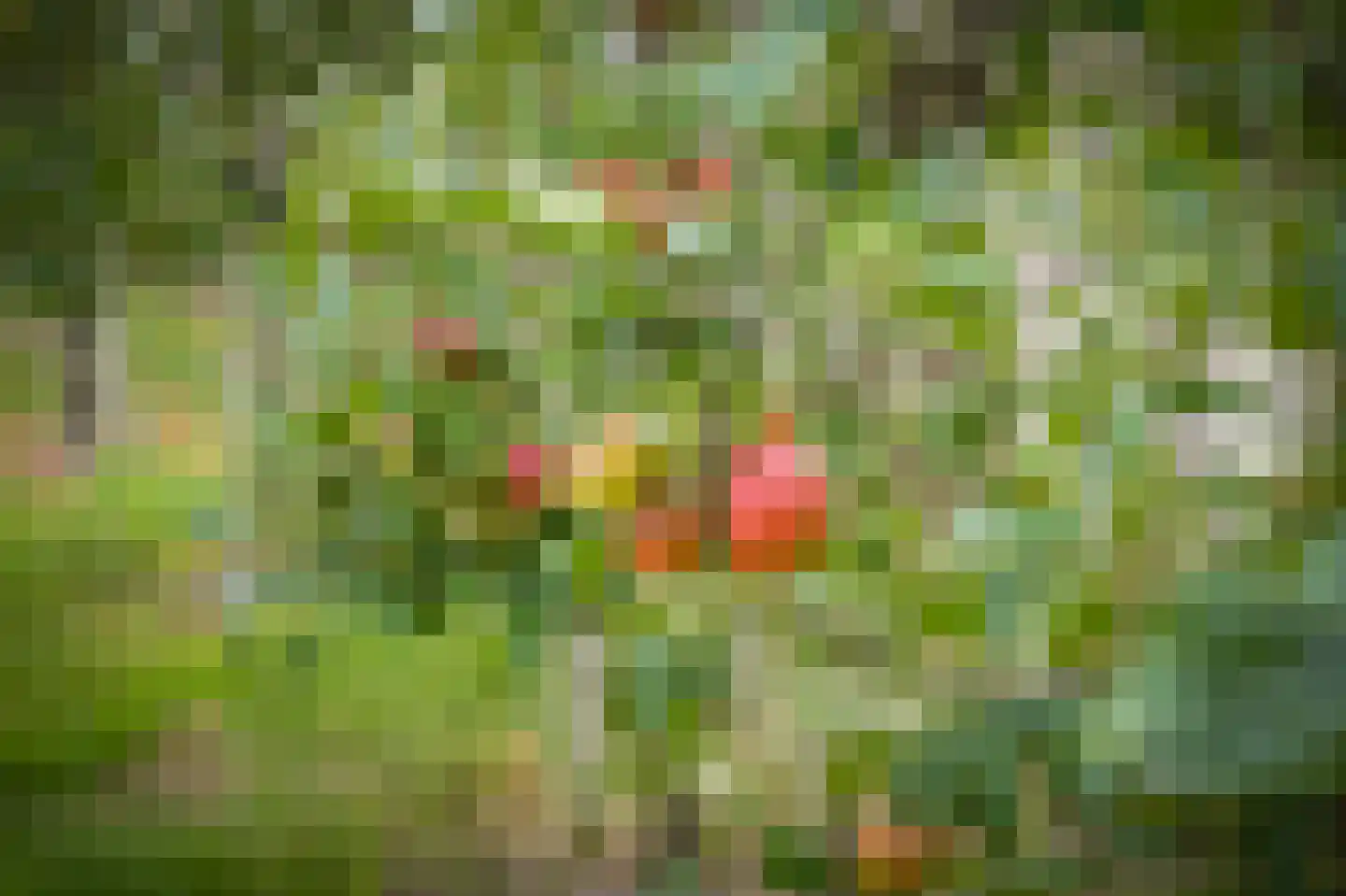 Duizendmorgen Andel thumbnail 16