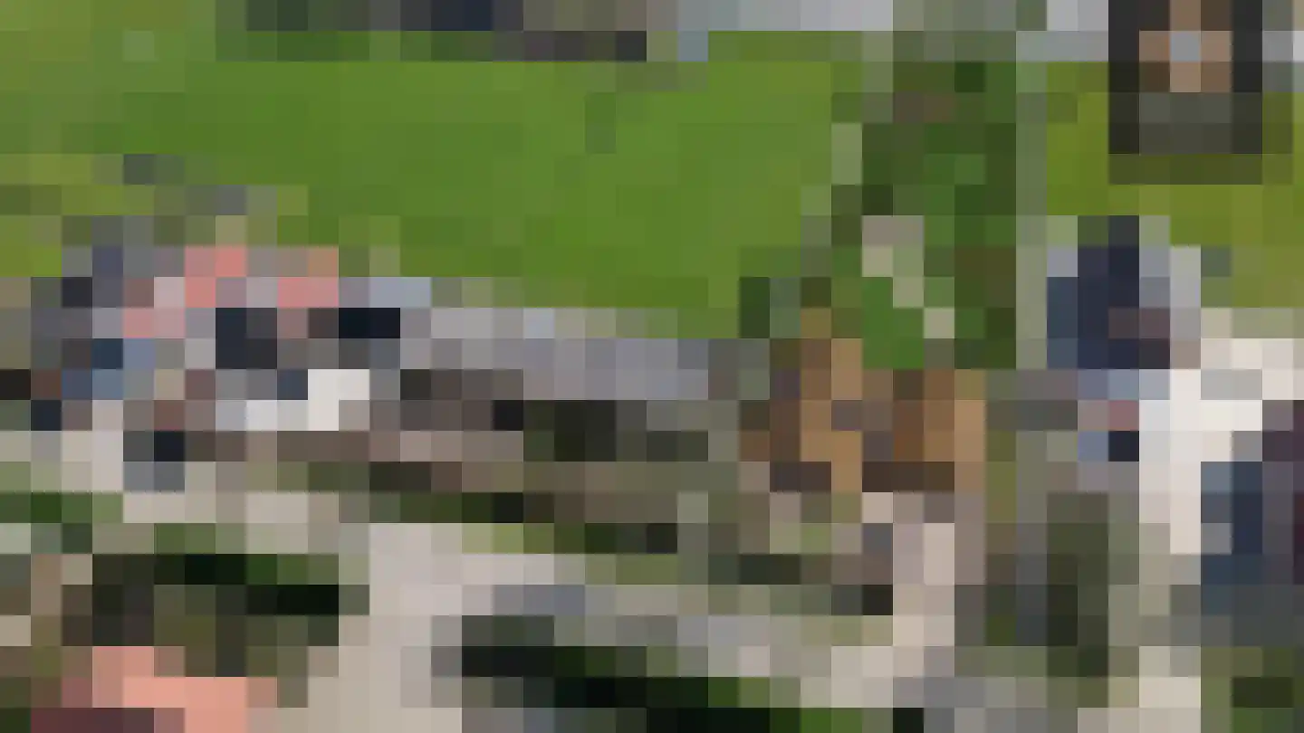Duizendmorgen Andel thumbnail 19