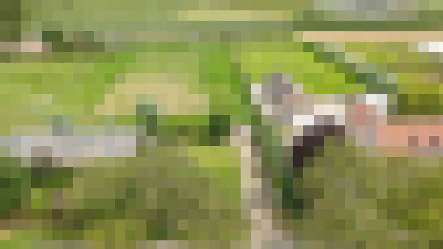 Duizendmorgen Andel thumbnail 21