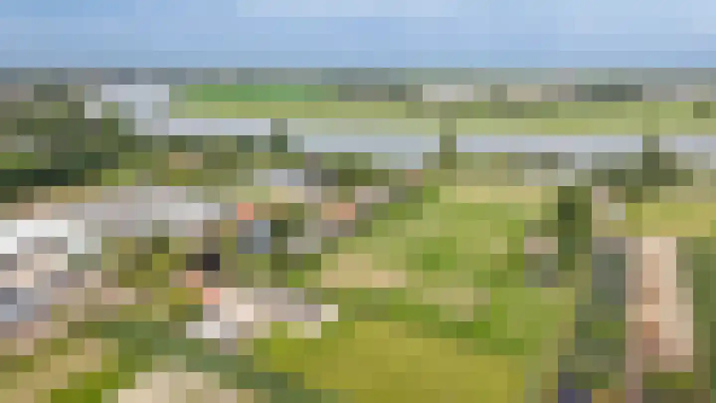 Duizendmorgen Andel thumbnail 23