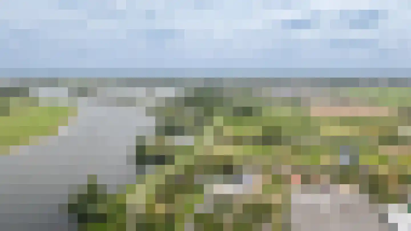 Duizendmorgen Andel thumbnail 25