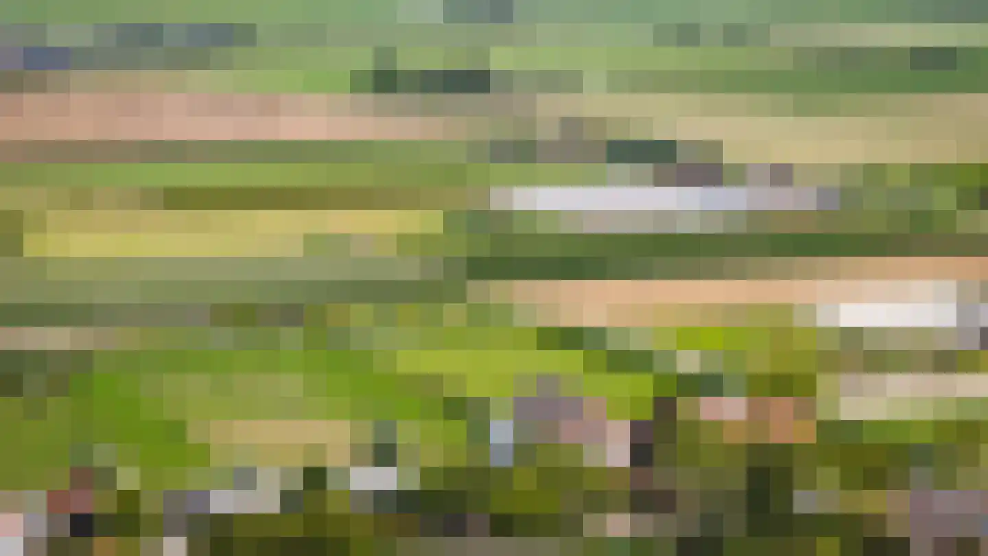 Duizendmorgen Andel thumbnail 27