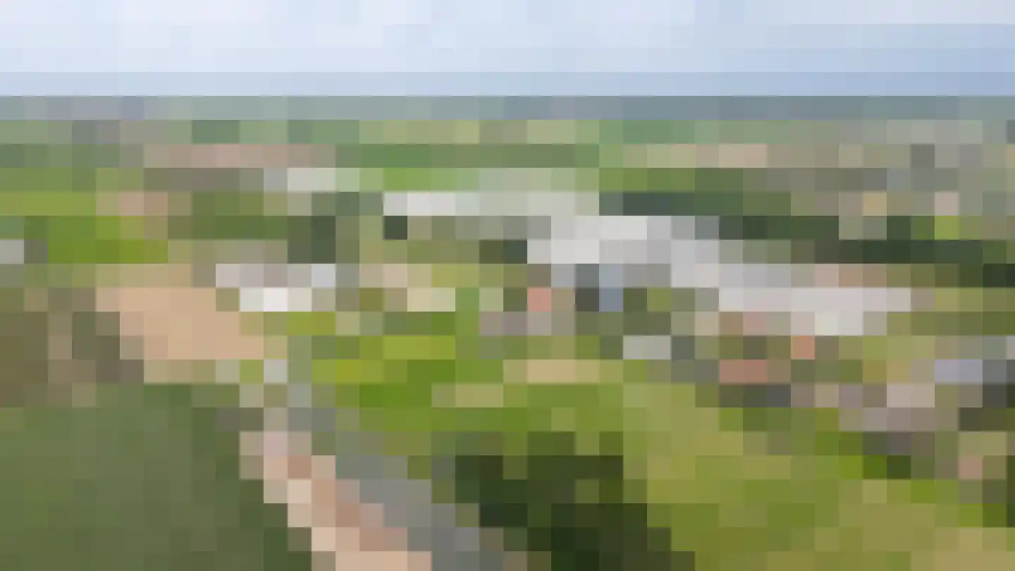 Duizendmorgen Andel thumbnail 30