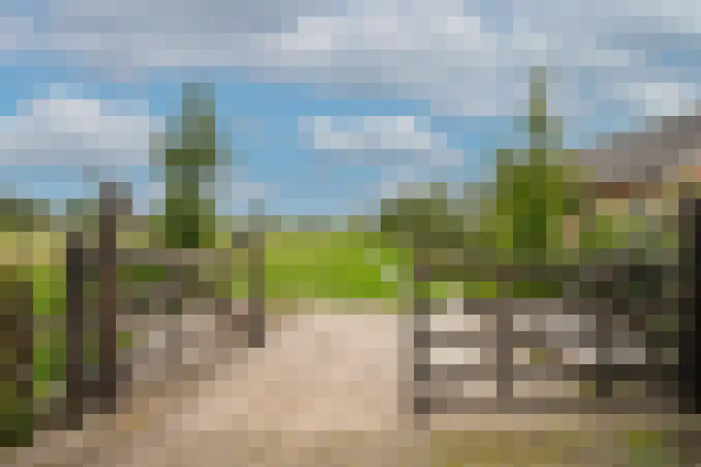 Duizendmorgen Andel thumbnail 6